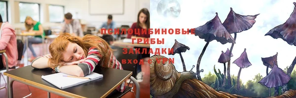 a pvp Богородицк